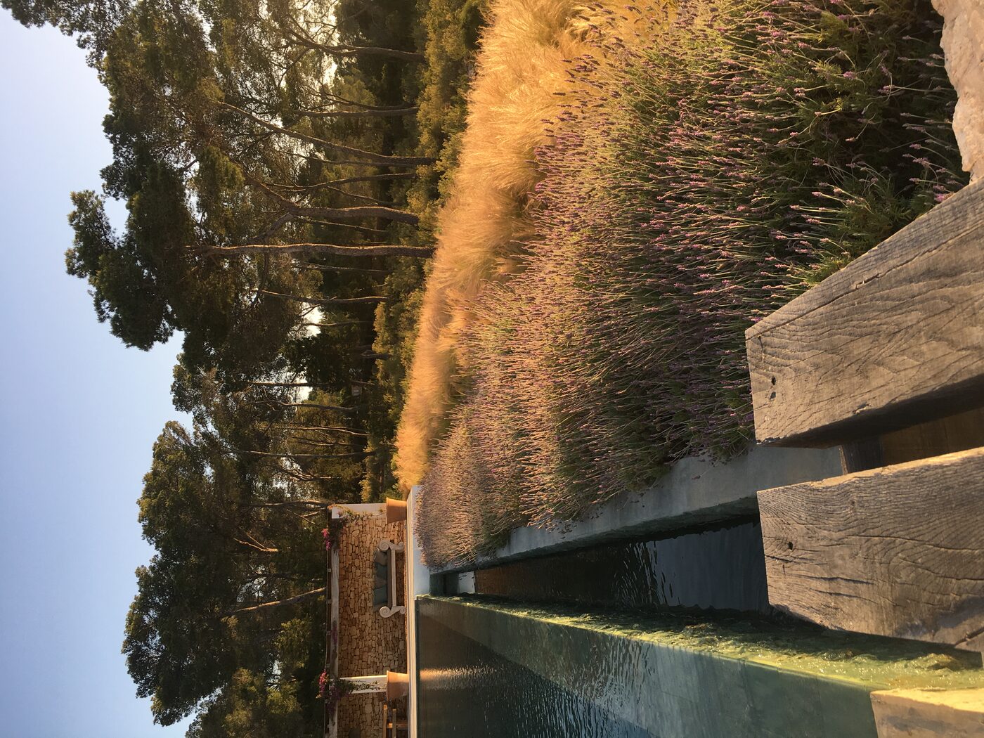 Piscine et lavande au coucher du soleil, Can Ché