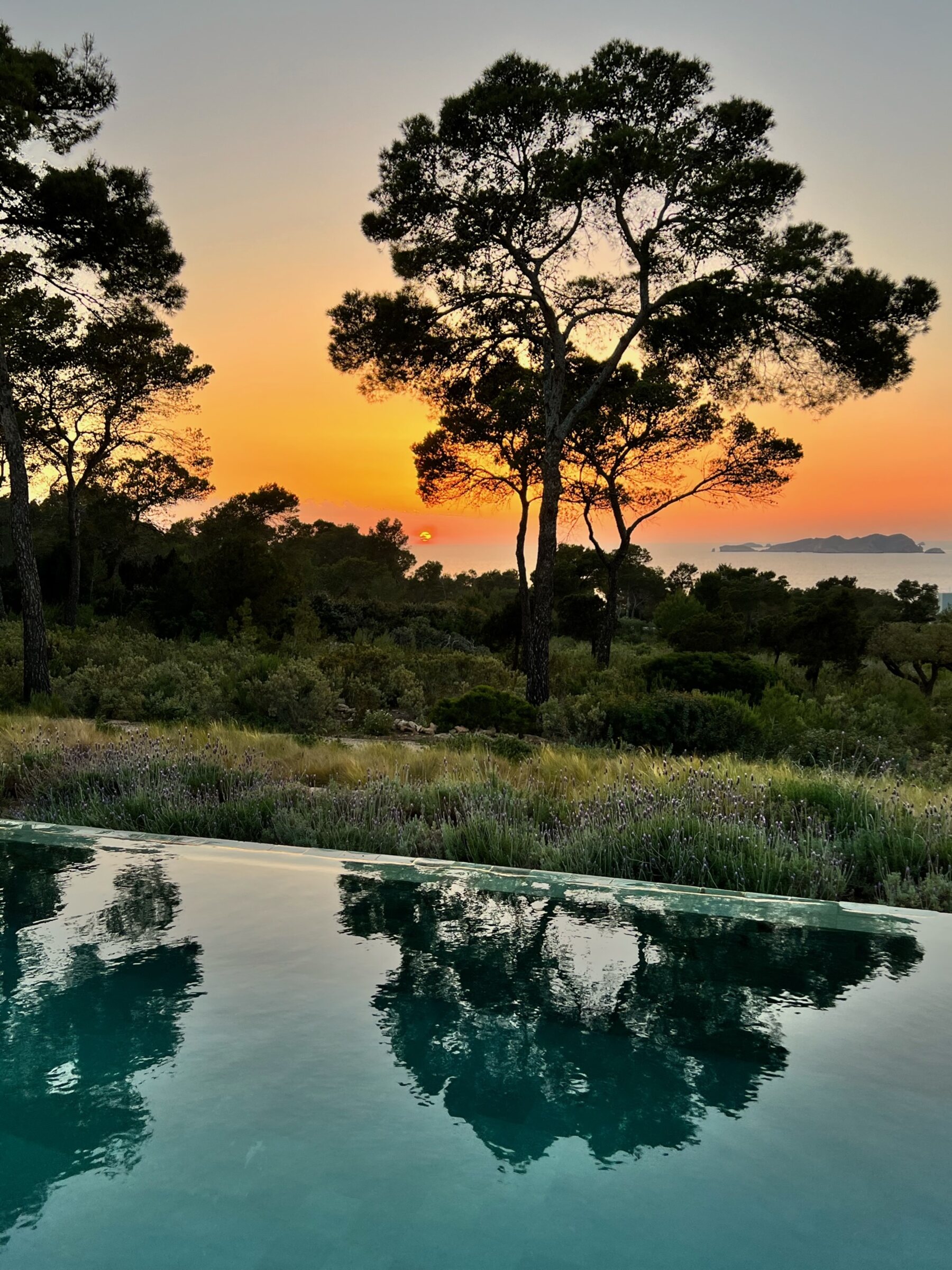Can Ché — pergola canisse, piscine et jardin méditerranéen, Cala Tarida